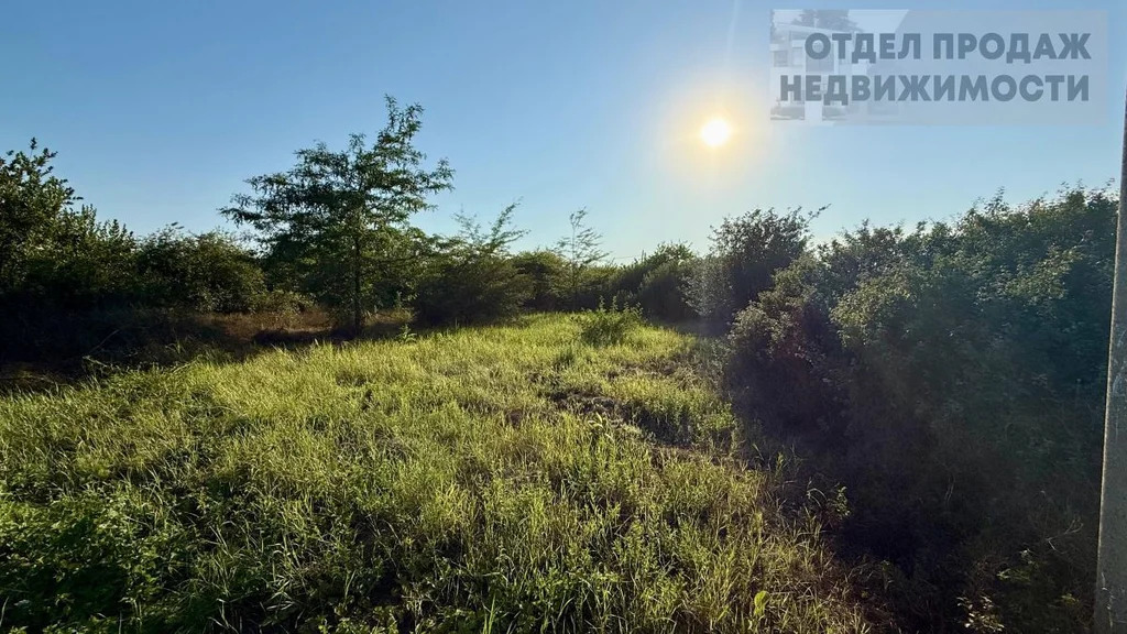 Участок - Фото 3