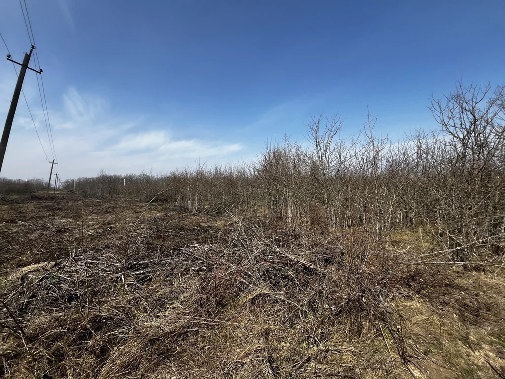 Продажа участка, Калужская, Северский район, улица Зеленая - Фото 5