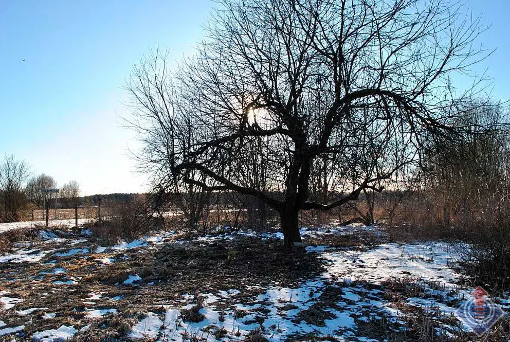 Продажа дома в д. Каурцево, ул. Железнодорожная, Наро-Фоминский г.о. - Фото 17