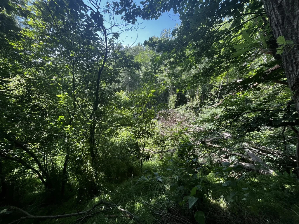 Продажа дома, Северский район - Фото 22