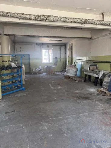 Продажа ПСН, Черняховск, Черняховский район, ул. Прегельная - Фото 8