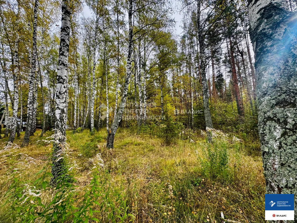 Продажа участка, Казарь, Рязанский район, ул. Лесная - Фото 3