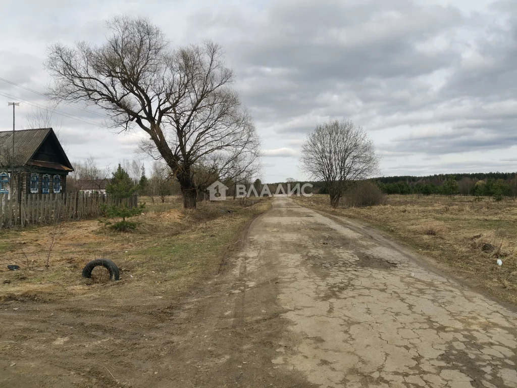 Гусь-Хрустальный район, деревня Ильино, Приозёрная улица,  дом на ... - Фото 38