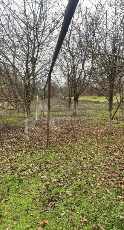 Продажа дома, Георгиевск, ул. Пионерская - Фото 5