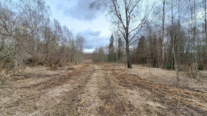 Продажа земельного участка, Давыдково, Зубцовский район - Фото 5