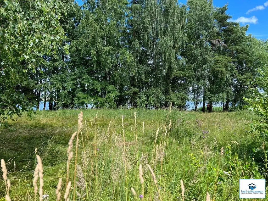 Участок в деревне Волынщино на первой линии Озернинского водохранилища - Фото 30