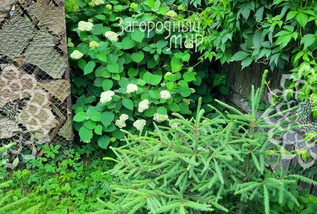 Продам участок, Щелковское шоссе, 24 км от МКАД - Фото 9