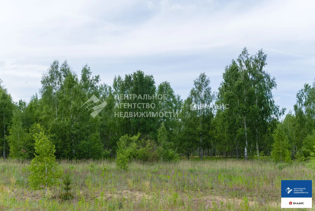 Продажа участка, Рязанский район - Фото 9