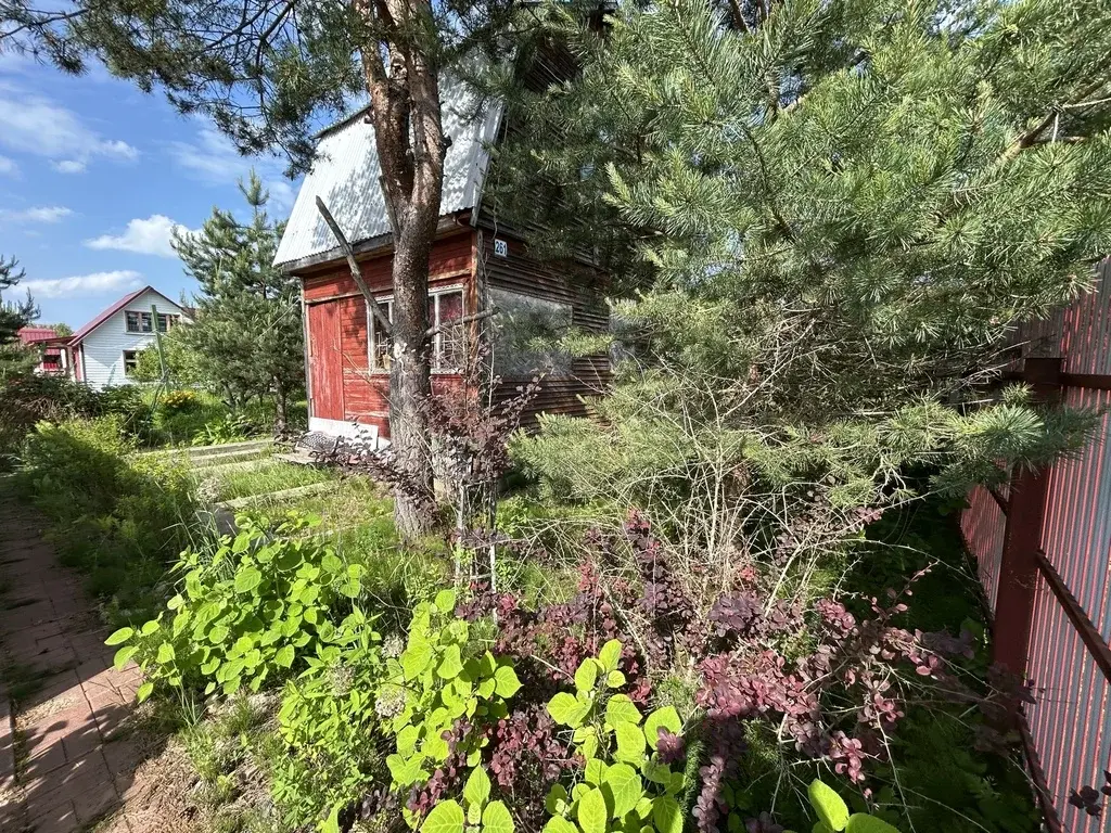 Дом 42,3 м2 на участке 6,2 сот. - Фото 6