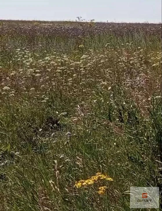 Продажа участка, Конь, Пестречинский район, ул. Пионерская - Фото 1