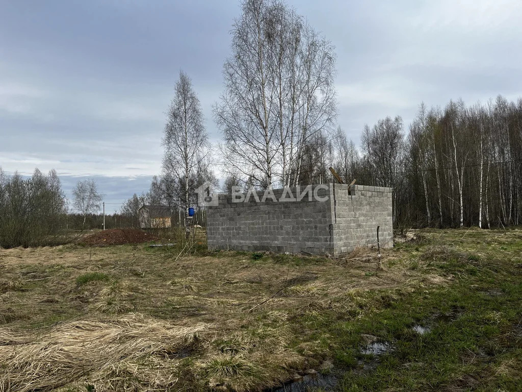 городской округ Клин, село Борщево,  земля на продажу - Фото 3