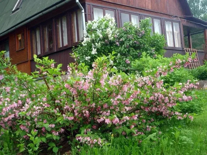 Дом 90 м на участке 26 сот. - Фото 15