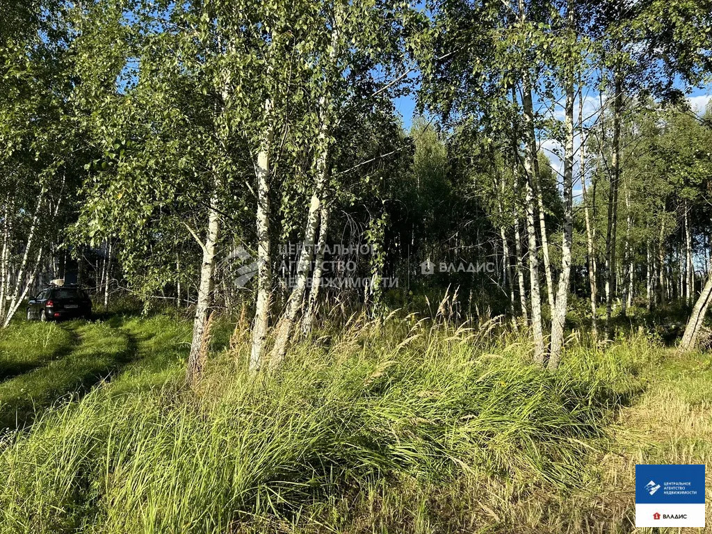 Продажа участка, Дубровичи, Рязанский район - Фото 6