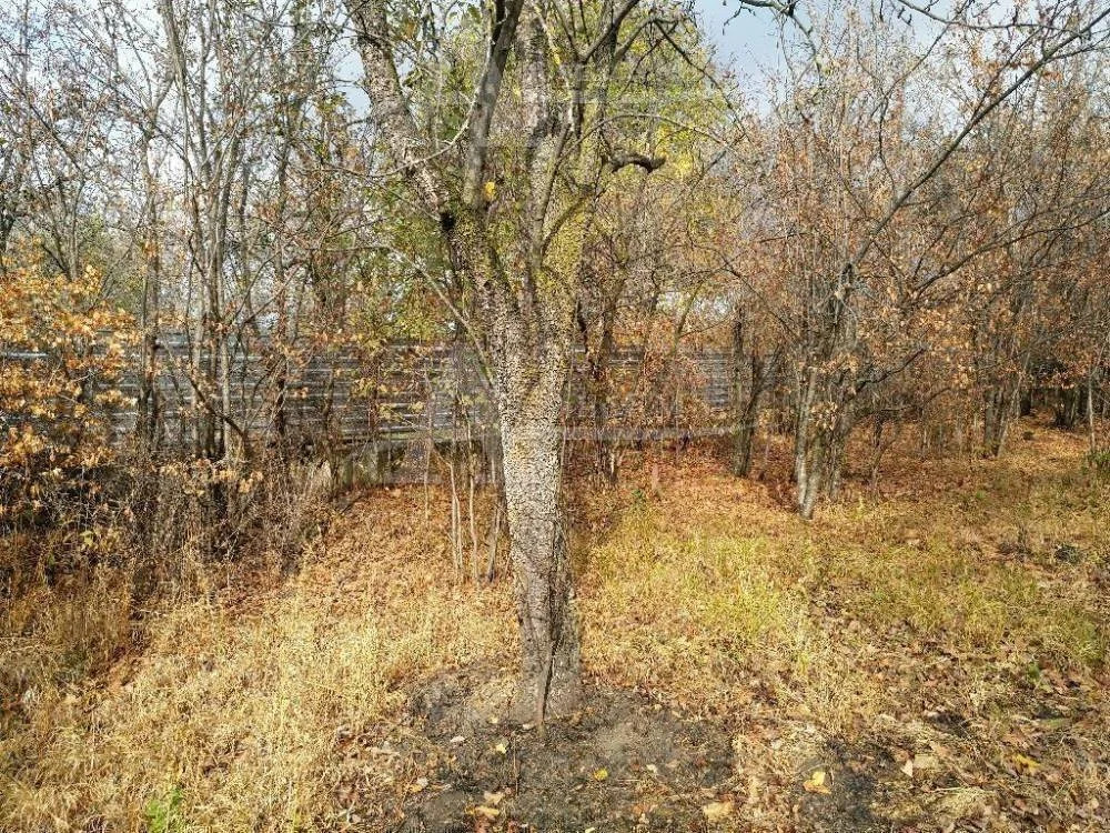 Купить Участок В Кисловодске Под Строительство