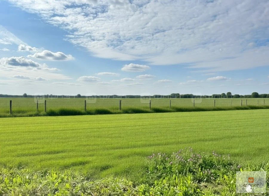 Продажа участка, Куюки, Пестречинский район, ул. Центральная 1-я - Фото 2