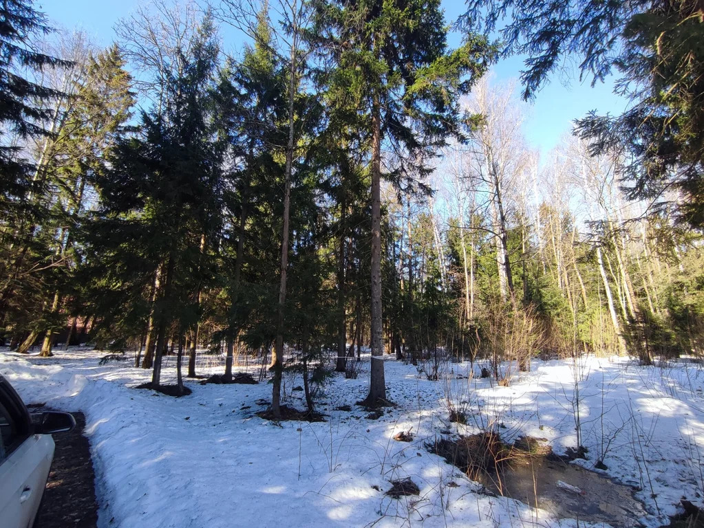 Продажа участка, НИИ Радио, Одинцовский район, Тыльная улица - Фото 2