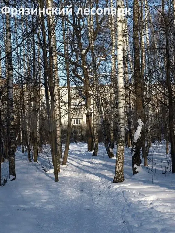 1-к. квартира, 35,6 м, 5/5 эт. - Фото 35