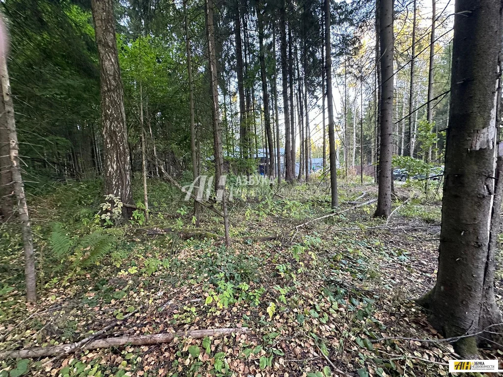 Продажа участка, Жилино, Богородский г. о. - Фото 9