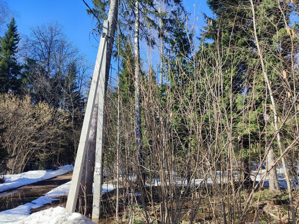 Продажа участка, НИИ Радио, Одинцовский район, Тыльная улица - Фото 5