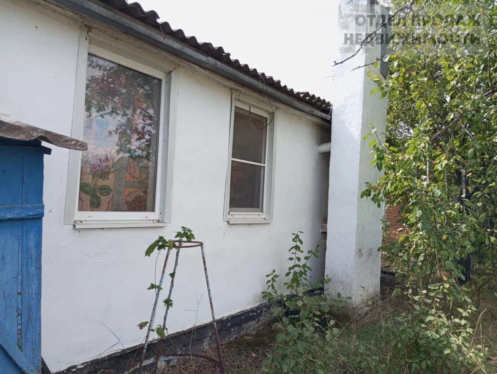 Объект 537551 - Фото 13