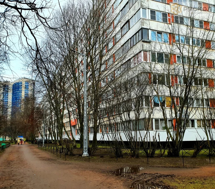 Санкт петербург аллея поликарпова