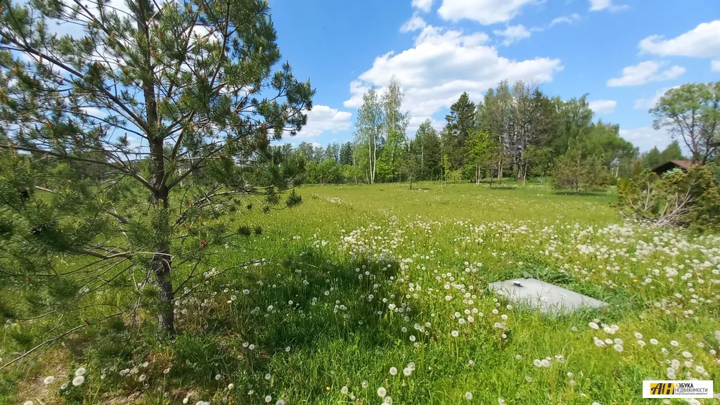 Продажа участка, Дедово-Талызино, Истринский район - Фото 5