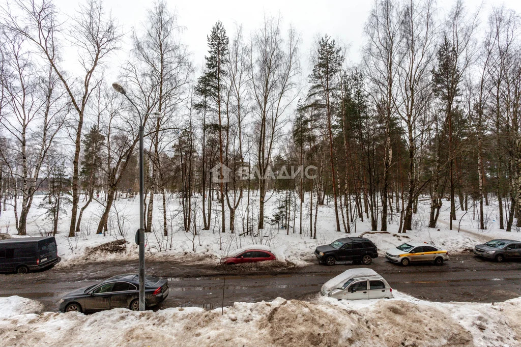 городской округ Балашиха, Балашиха, улица Дмитриева, д.20, 1-комнатная ... - Фото 28