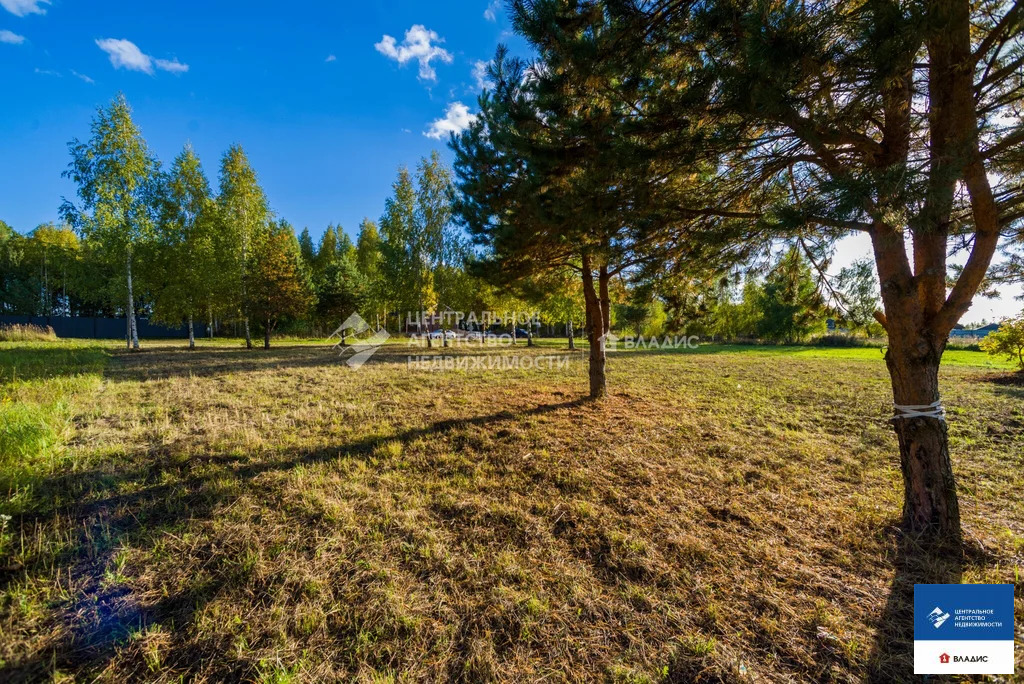 Продажа участка, Рязанский район - Фото 16