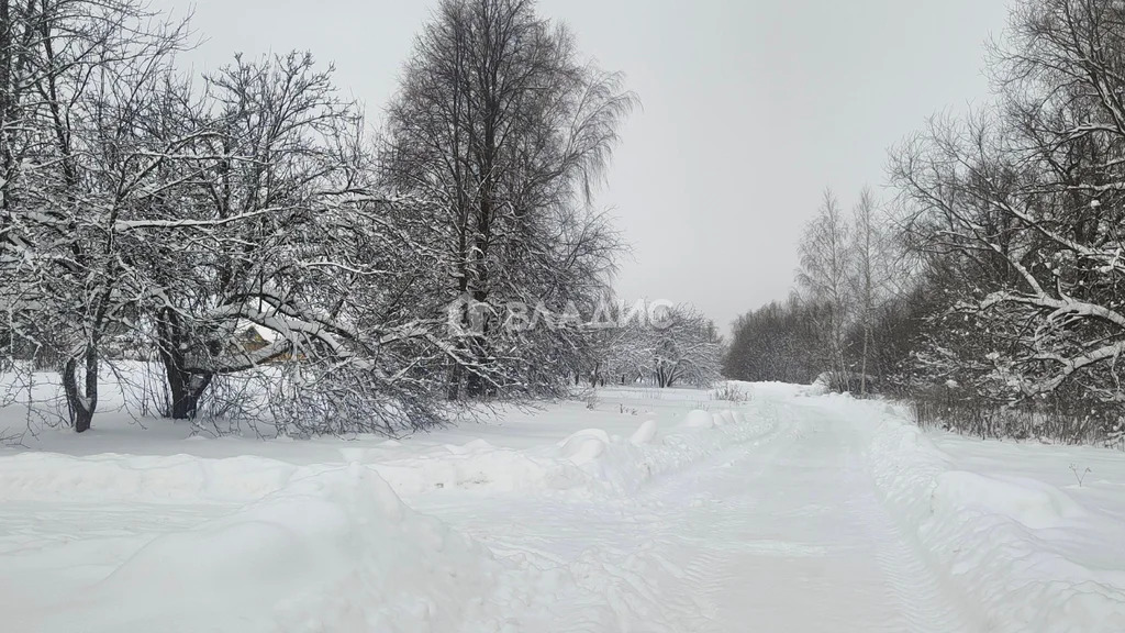 Юрьев-Польский район, деревня Карандышево,  земля на продажу - Фото 4