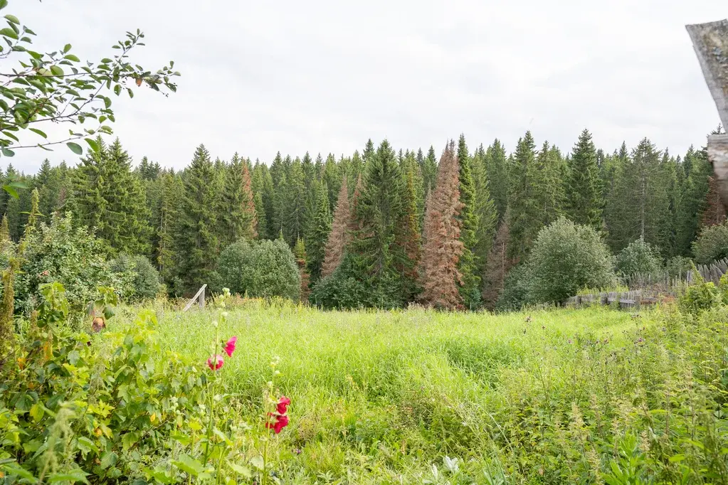 Дом по ул. Ключевская - Фото 15