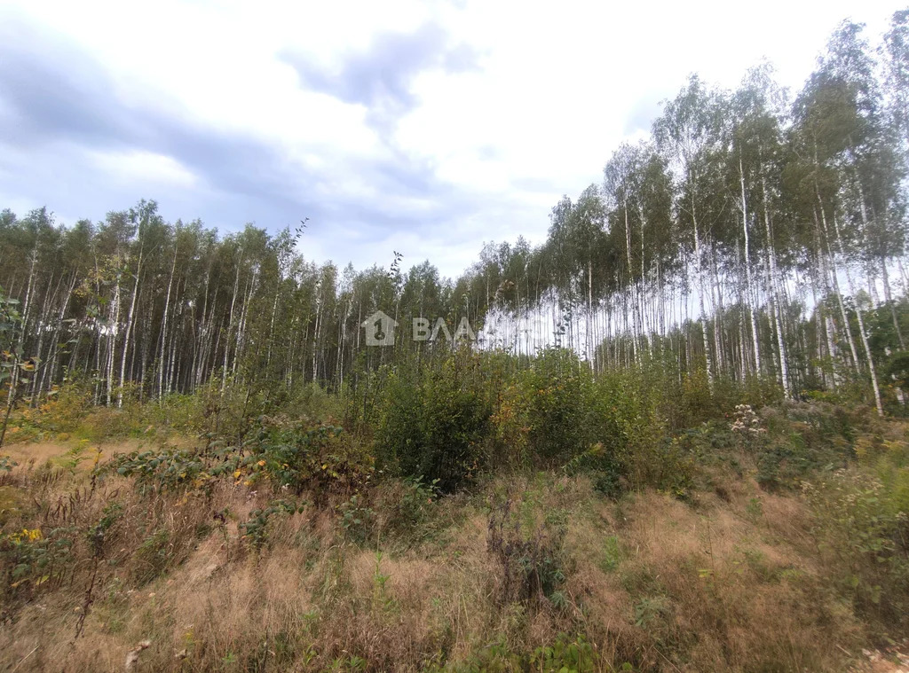 городской округ Владимир, Владимир, Октябрьский район, 2-я Сорокинская ... - Фото 3