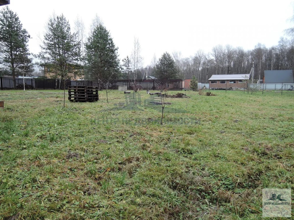 ПРОДАЕТСЯ УЧАСТОК 13.59 СОТОК С ДОМИКОМ У ЛЕСА - Фото 5