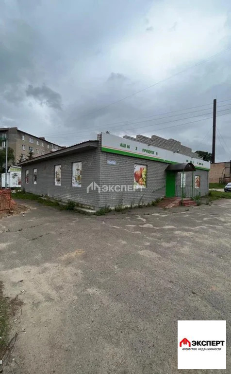 торговое здание, ул. Разина - Фото 3