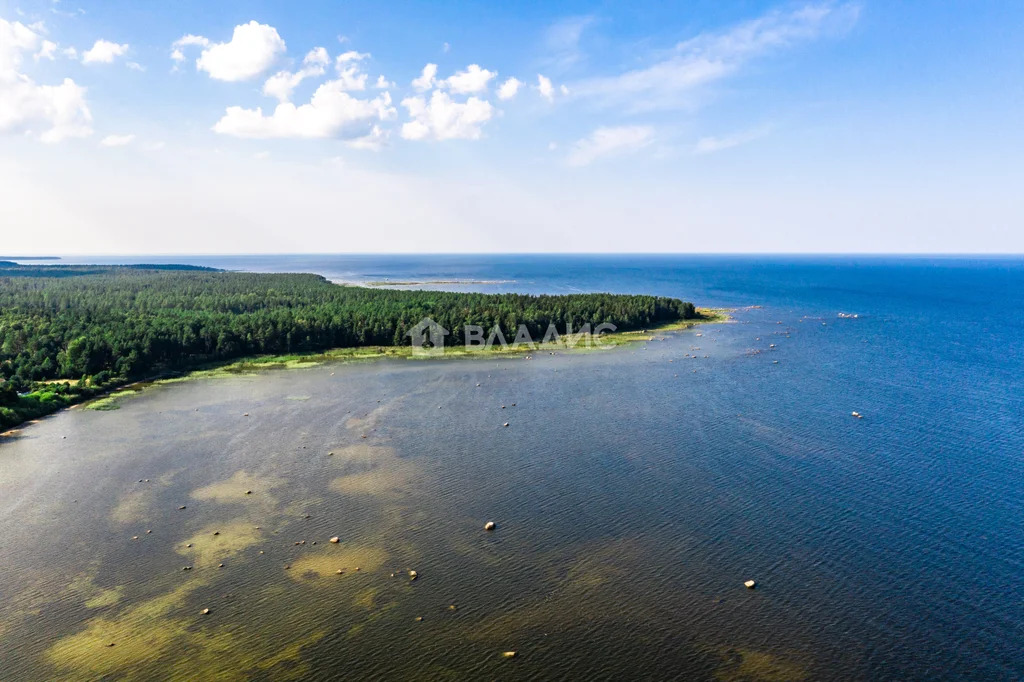 Кингисеппский район, деревня Старое Гарколово, Заречный переулок,  ... - Фото 61