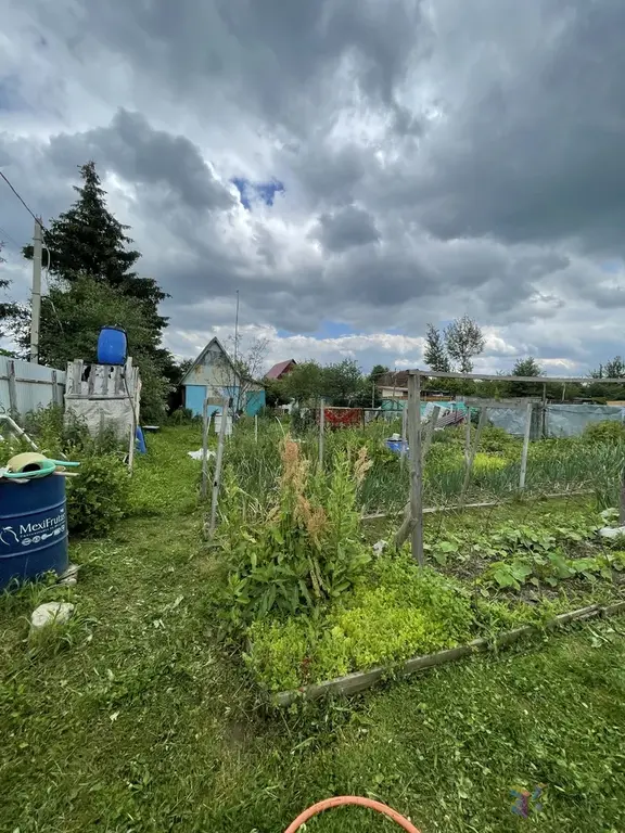 Продаю дачу 25 кв.м,  в с. Березнецово Ступинского района. - Фото 6