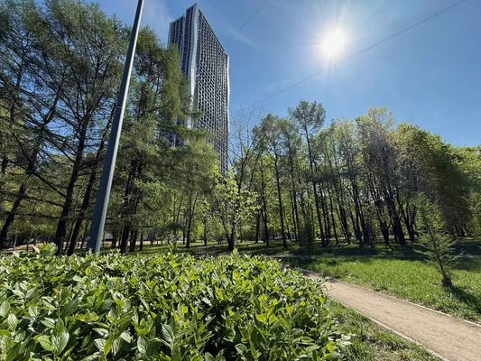 Продам однокомнатную (1-комн.) квартиру, Серебрякова проезд, 11к2, ... - Фото 20