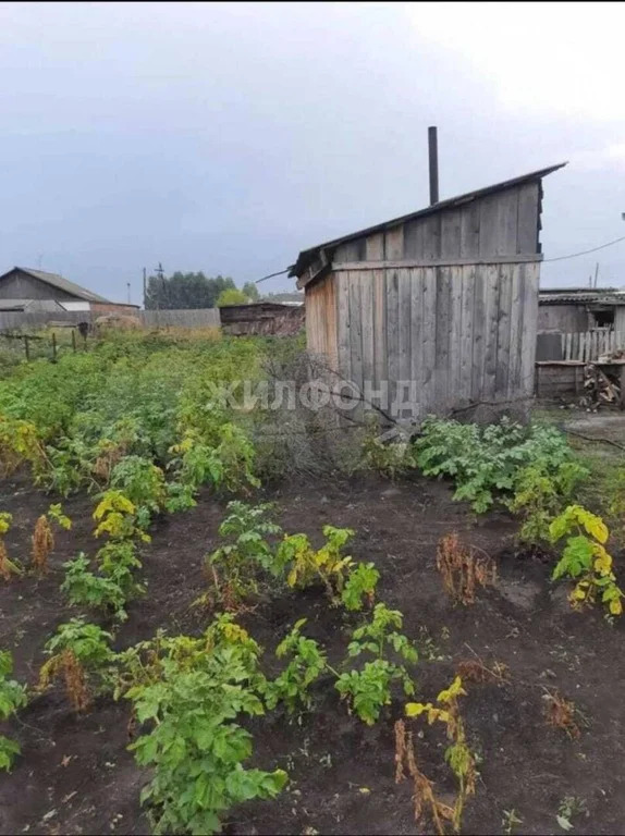 Продажа дома, Березовка, Новосибирский район, Новая - Фото 0