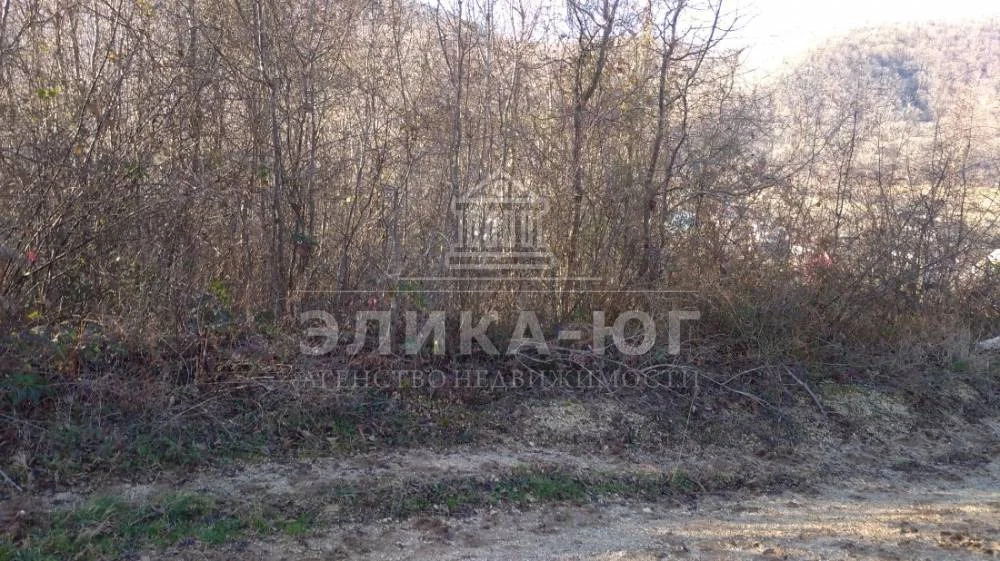 Продажа участка, Новомихайловский, Крымский район, Листопадная ул. - Фото 9