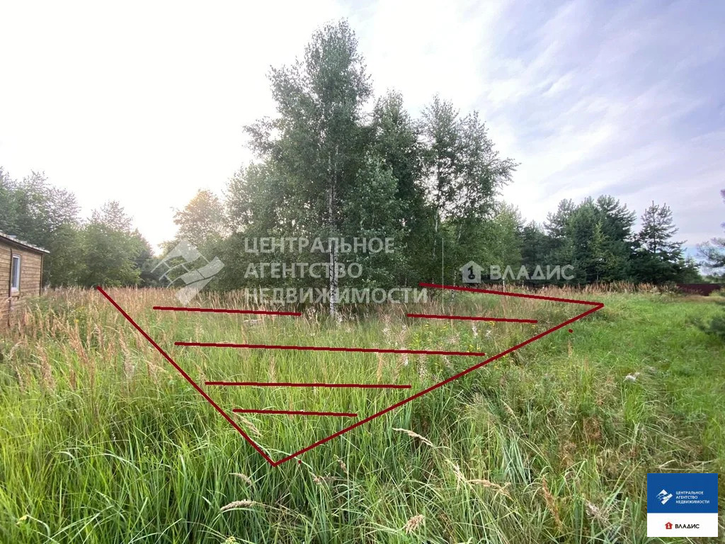 Продажа участка, Фролово, Клепиковский район - Фото 2