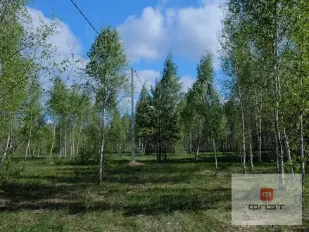 Продажа участка, Казань, снт. СНТ Любитель природы-2 - Фото 4