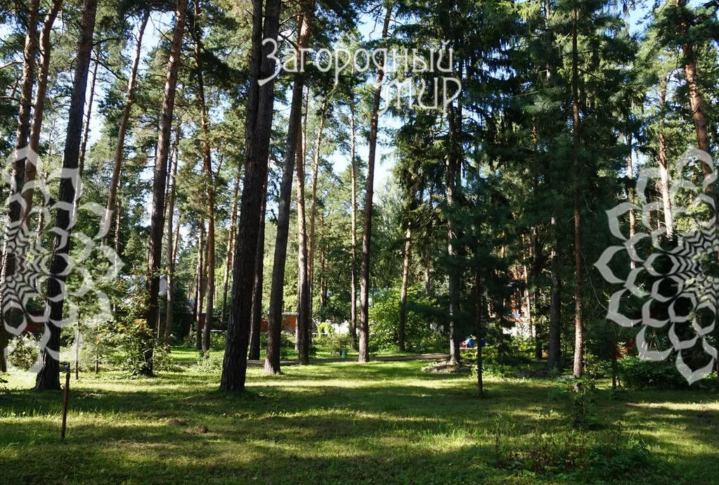 Продам участок, Новорязанское шоссе, 12 км от МКАД - Фото 1