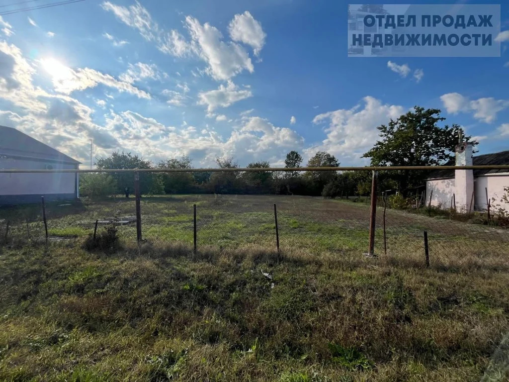 Участок в Киевской - Фото 5