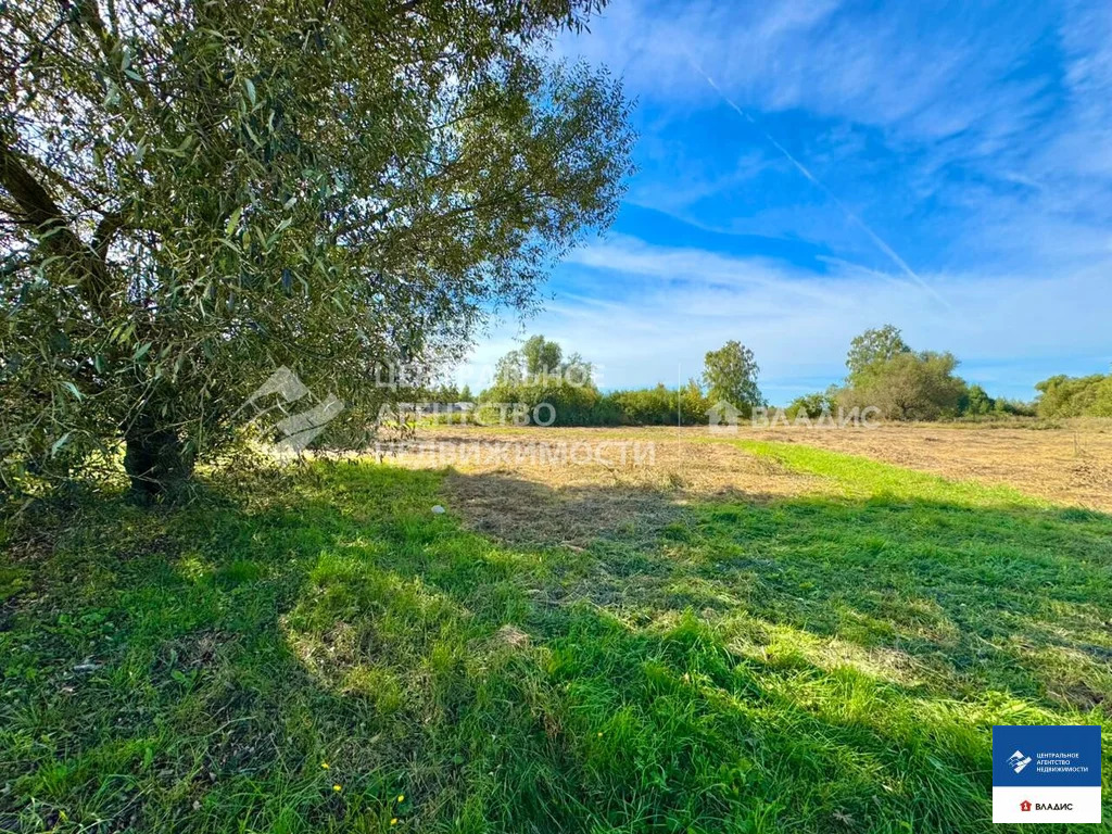 Продажа участка, Панино, Спасский район - Фото 1