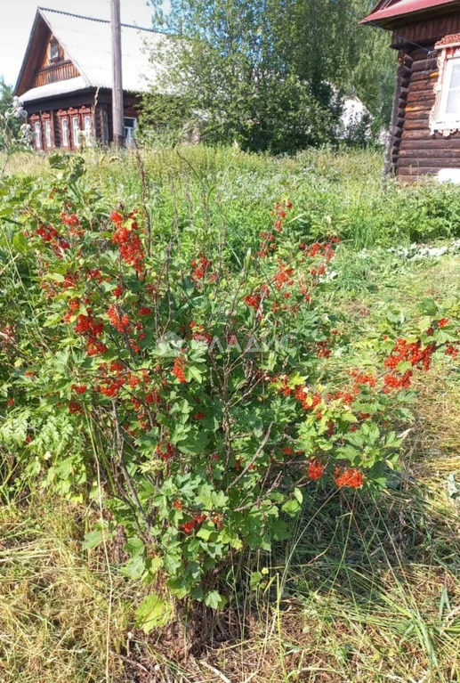 городской округ Семёновский, деревня Захарово,  дом на продажу - Фото 10