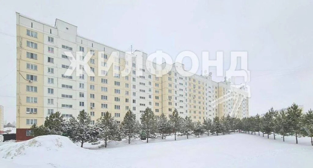 Продажа квартиры, Новосибирск, Татьяны Снежиной - Фото 24