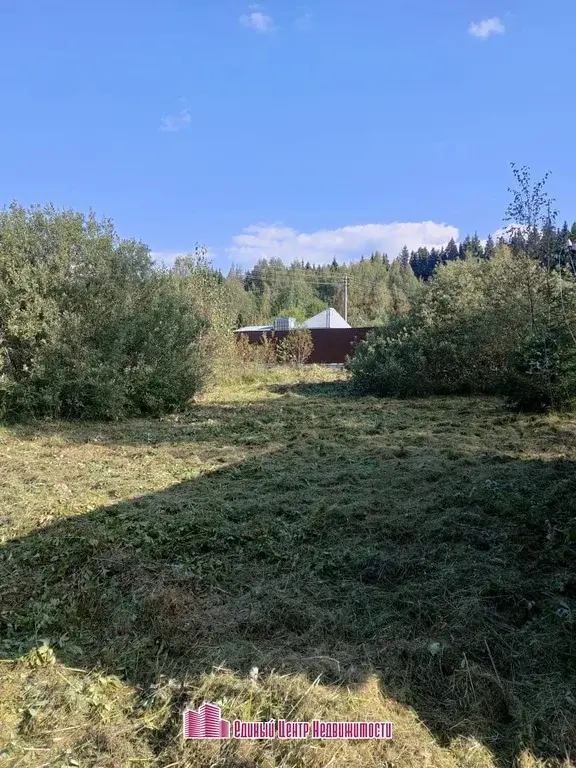 Участок 22,5 сот, д. Жуково , СНТ "Прогноз" (Дмитровский район) - Фото 7