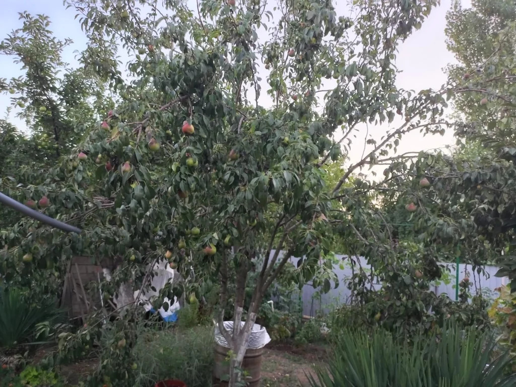 Продажа дома, Абинск, Абинский район, ул. Ростовская - Фото 20