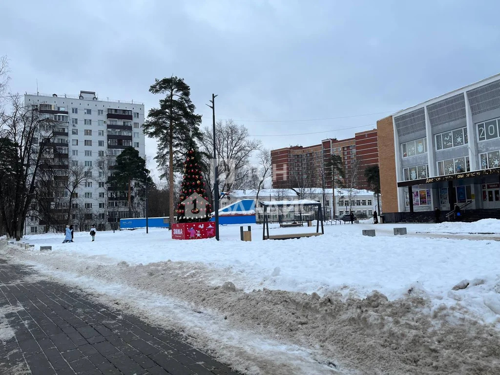 городской округ Щёлково, Щёлково, улица Циолковского, д.3, 3-комнатная ... - Фото 38