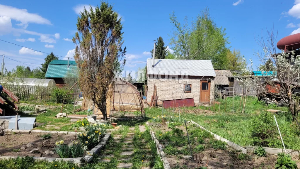 Снт Электрон Омск Купить Дачу