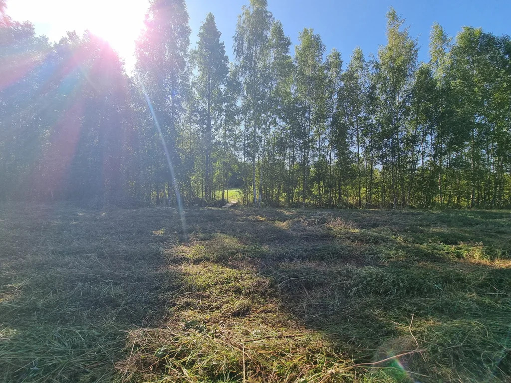 Продажа участка, Большие Пороги, Всеволожский район - Фото 4